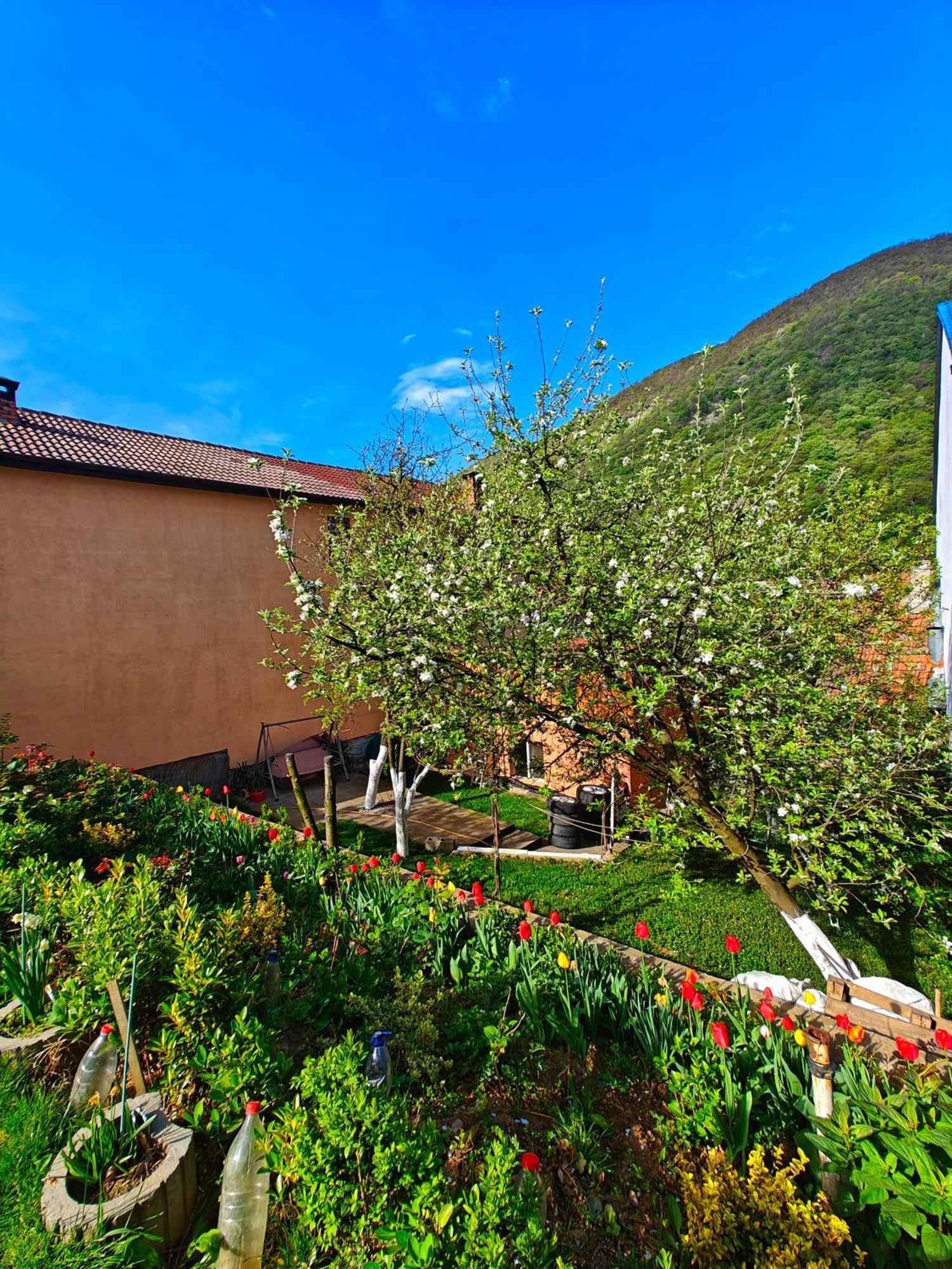Casa Miclau Apartamento Băile Herculane Exterior foto