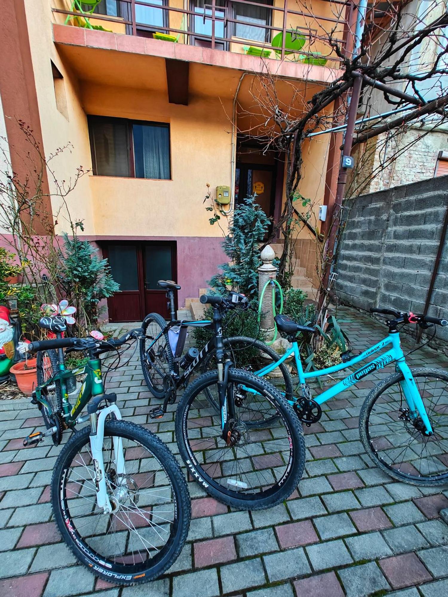 Casa Miclau Apartamento Băile Herculane Exterior foto