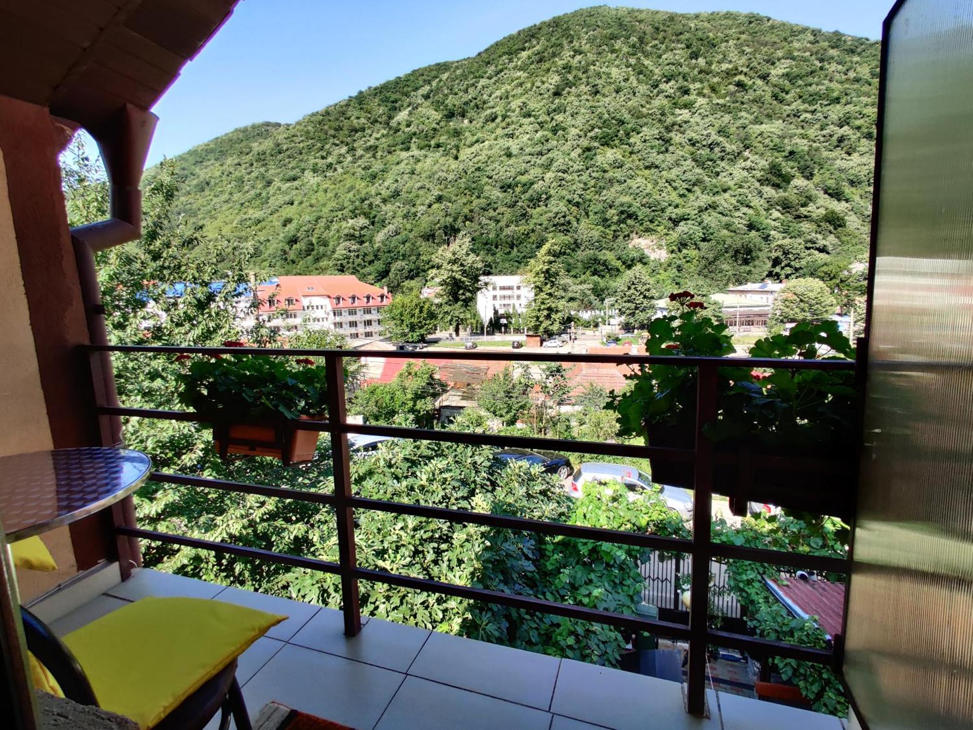 Casa Miclau Apartamento Băile Herculane Quarto foto